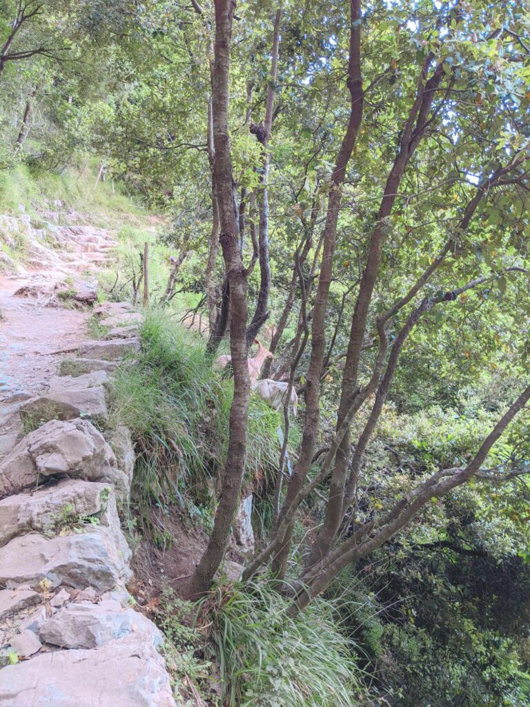 Sentier des Dieux randonnée cote amalfitaine